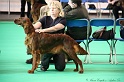 Crufts2011 067